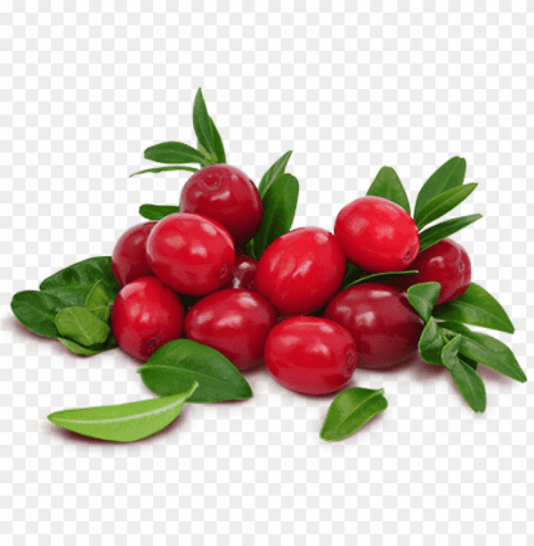 LAVITAN CRANBERRY 500mg - Infecção urinária - Image 4