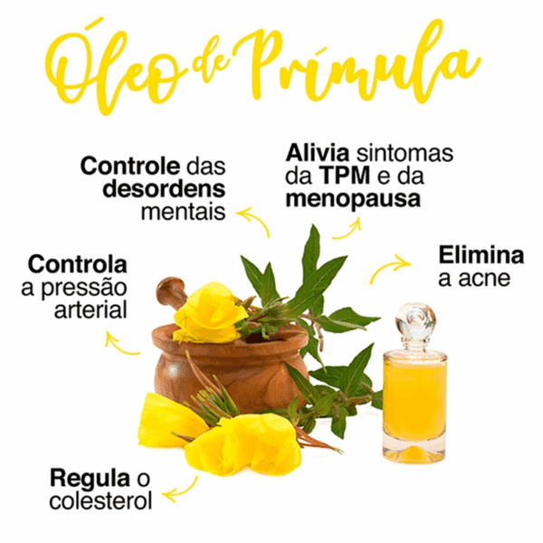 Lavitan Prímula - Sintomas Menopausa e TPM, Linhaça Borragem - Image 4