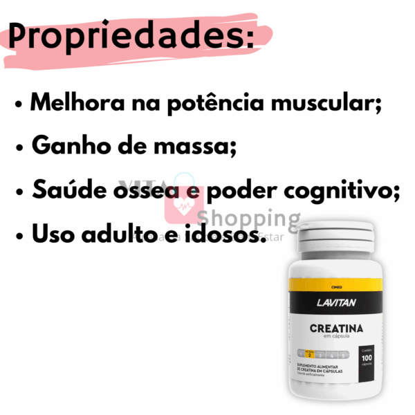 Creatina Monoidratada Pura, 100 Cápsulas - LAVITAN - Imagem 2